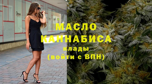 индика Абинск