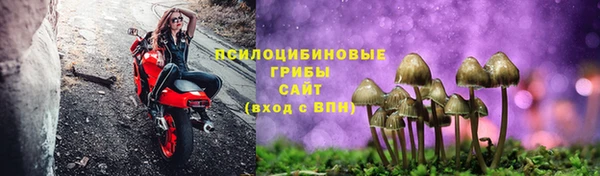 мяу мяу мука Алексин
